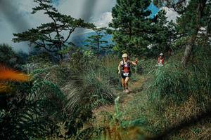 BIB: 
                            <button type="button" onclick="openModal(25258020)" class="btn btn-primary btn-sm float-right btn-popup" data-toggle="modal" data-target=".modal-high-quality">
                        <i class="fas fa-shopping-cart"></i> Add to Cart
                    </button>
                                            <button type="button" onclick="isThisMe(25258020, true)" class="btn btn-success btn-sm float-right btn-popup btn-isme hidden" data-toggle="tooltip" data-placement="bottom" title="นี่คือรูปของคุณใช่ไหม คลิกที่นี่เพื่อเอาเข้าอัลบั้ม">
                        <i class="fas fa-plus"></i> Add to album
                    </button>
                    <button type="button" onclick="isThisMe(25258020, false)" class="btn btn-warning btn-sm float-right btn-popup btn-isnotme hidden">
                        <i class="fas fa-ban"></i> Remove from album
                    </button>